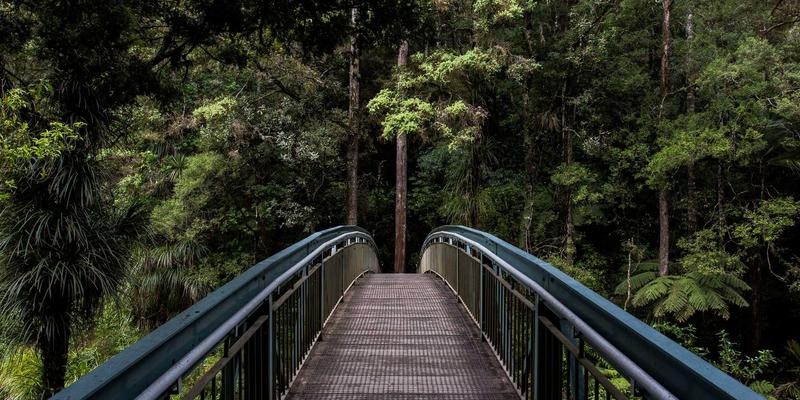 LUT调色实战指南：摄影师如何用创意素材打造波西米亚风质感大片