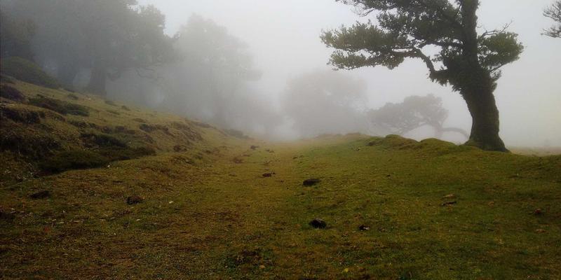 专业摄影师教你：如何校正与提亮整体发灰的风景照片，恢复通透感与色彩层次