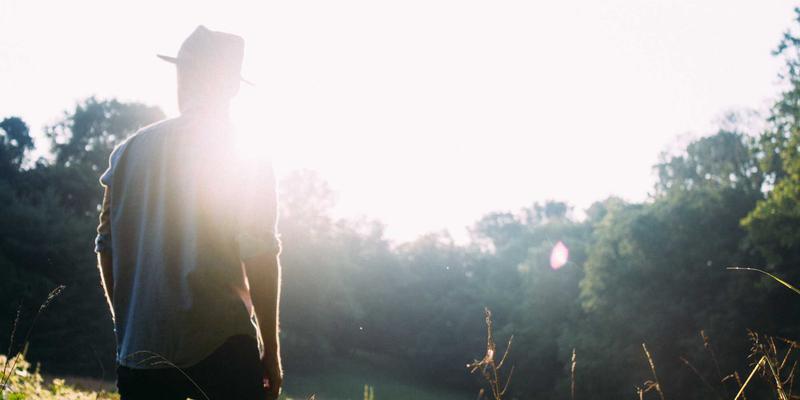 专业摄影必备：如何用Lightroom/PS的HSL工具精准提亮特定颜色，打造高清图片素材