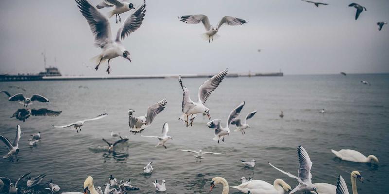 如何为电商服装图片打造明亮干净的背景：摄影师必学的棚拍与抠图技巧