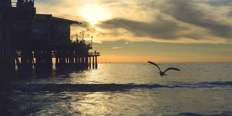 如何利用反光板与柔光箱：低成本打造专业影棚级明亮高清图片