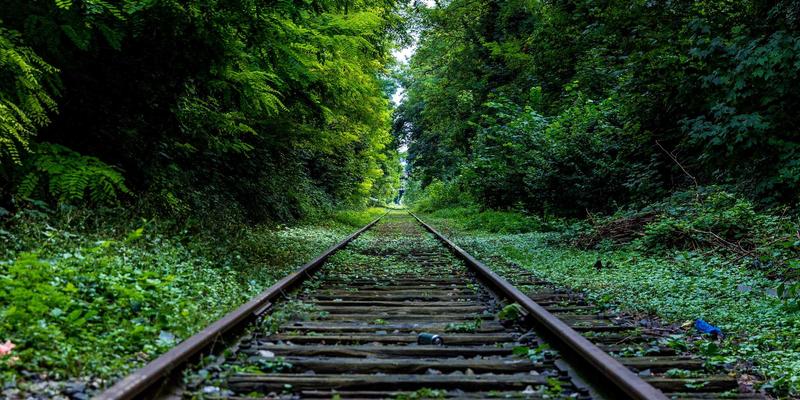 手机人像模式终极指南：轻松拍出背景虚化且主体明亮的专业级明图片