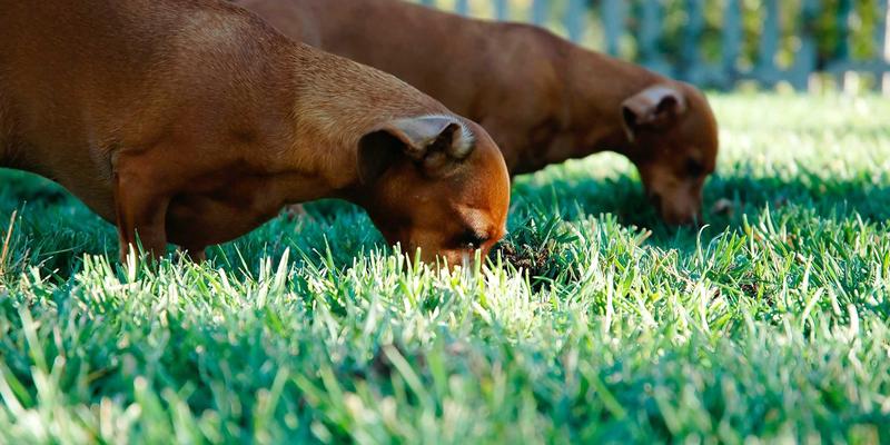 摄影师必读：运用波西米亚风美学，在白天捕捉建筑内部明亮均匀的空间感图片