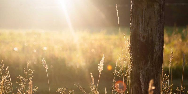 明亮系儿童摄影全攻略：用创意素材与明图片捕捉生动表情，营造纯净高调氛围