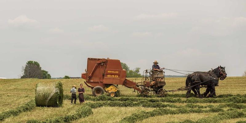 明亮食物摄影进阶构图：巧用布局与留白，打造波西米亚风视觉盛宴