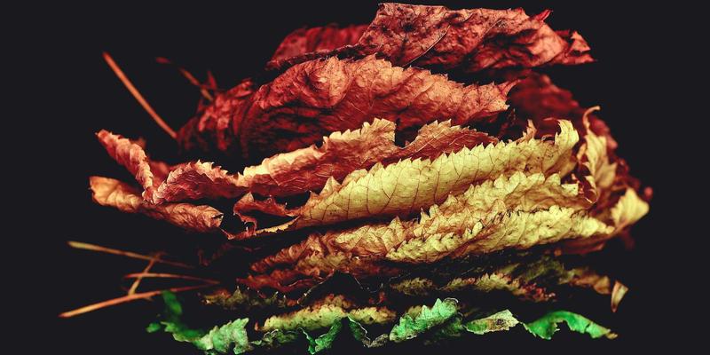 明图片18:波西米亚风摄影师的视觉叙事与灵魂捕捉