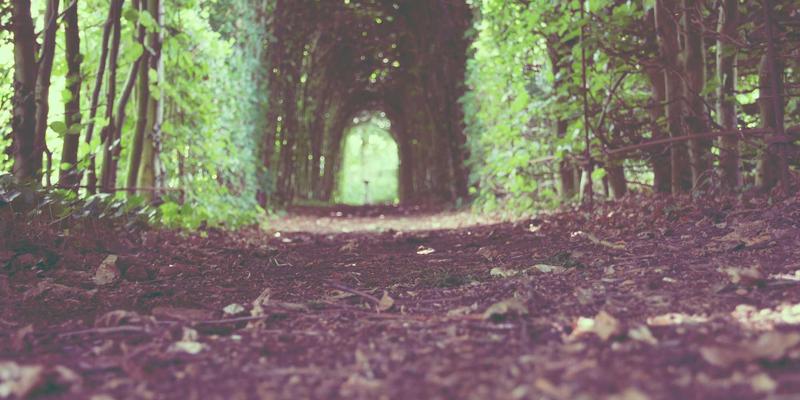 明图片22:用波西米亚风创意素材,重新定义你的摄影服务叙事