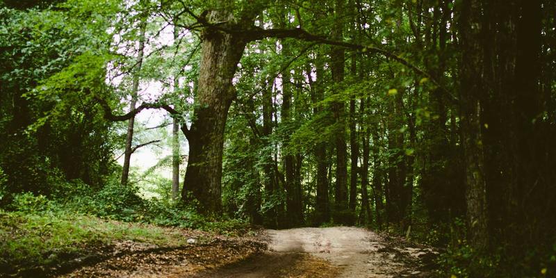 明图片2:创意素材新纪元,摄影师与图片素材的共生进化