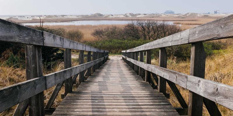 明图片32：探索高清图片素材的新维度与高效使用指南