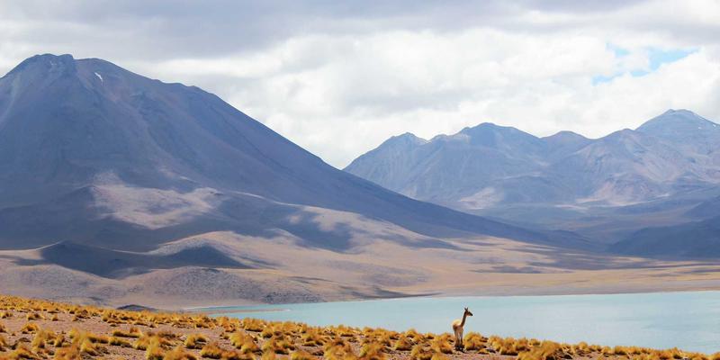 明图片7:专业摄影服务如何为您打造令人惊叹的高清视觉资产