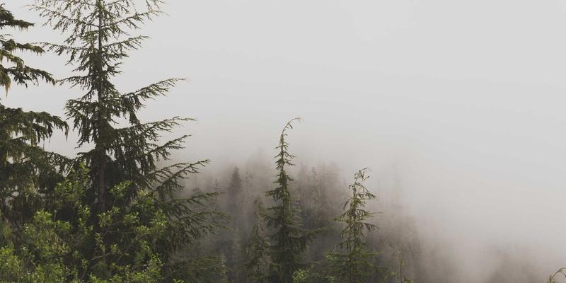 明图片8：解锁专业摄影服务与创意素材的商业新价值