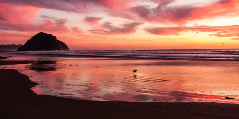 明图片与高清图片：专业摄影师如何选择与创造视觉奇迹