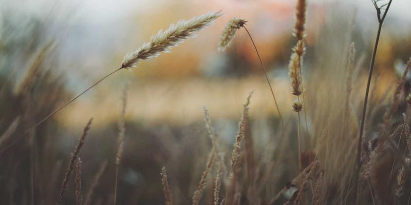 明图片应用：为摄影师与创意工作者打造的高清视觉素材宝库