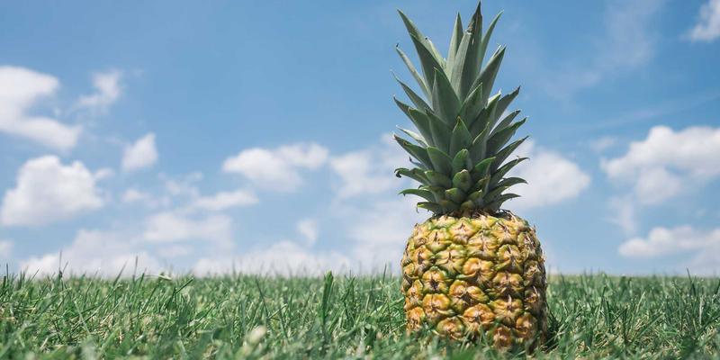 明图片摄影师如何通过白平衡控制情绪表达：波西米亚风的视觉叙事