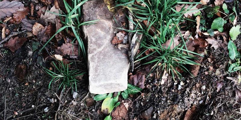 明图片素材在品牌视觉识别系统中的应用：从创意素材到波西米亚风表达