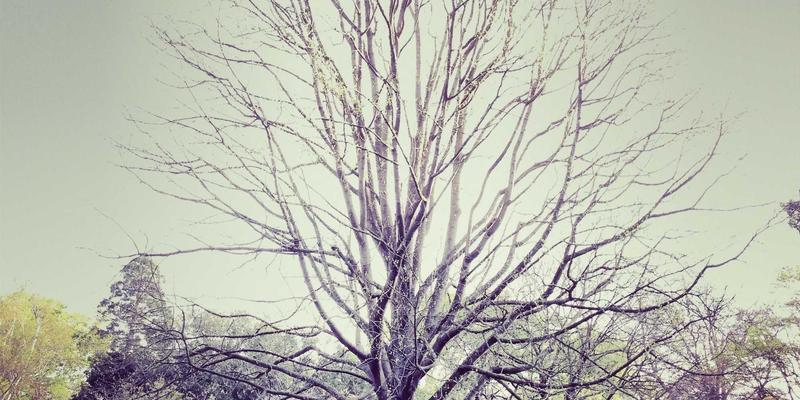 波西米亚风图片素材：摄影师如何用视觉叙事打造独特美学优势