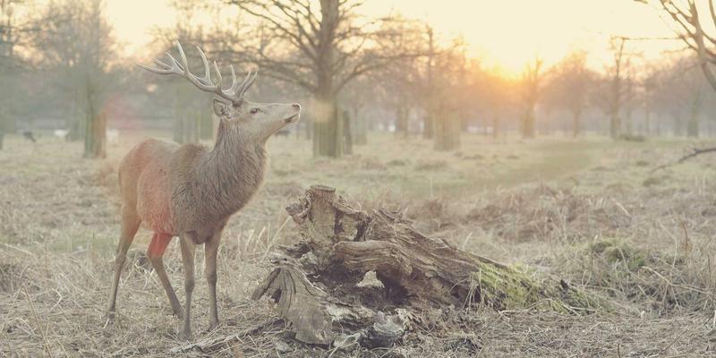 阴天户外人像摄影指南：如何利用漫射光拍出明亮通透的皮肤质感图片