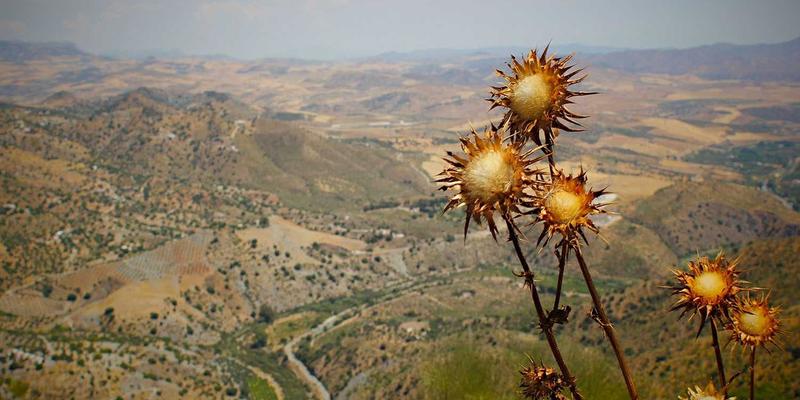 阴天风景摄影指南：3大技巧拍出明亮高清的创意素材图片